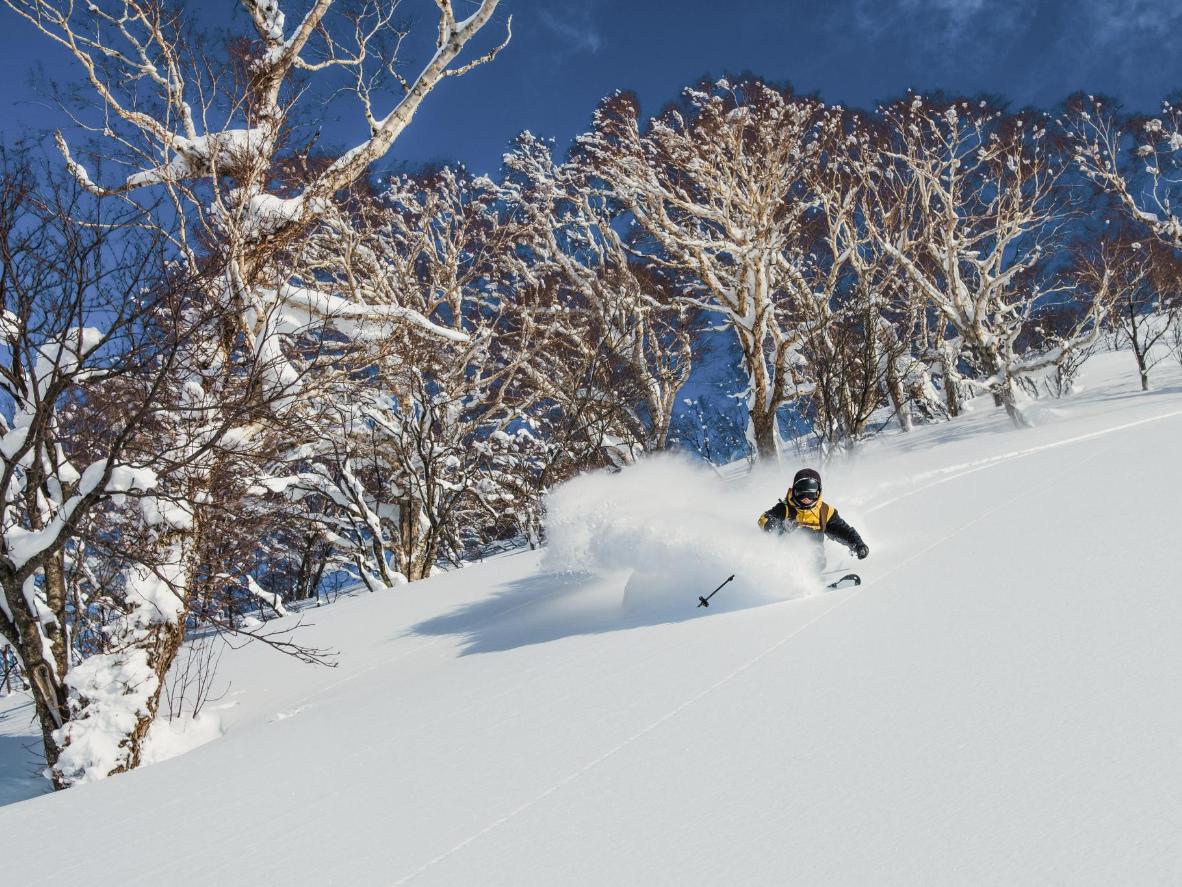 Fantastic Japan skiing and tour trip